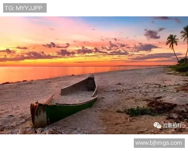 足球明星背后的风采她们是如何成就自己的美丽人生